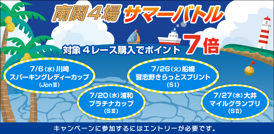 国産　打上げ花火　朱雀