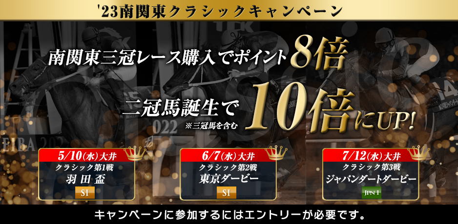 キャンペーン詳細|SPAT4プレミアムポイント 国産 打上げ花火 白虎