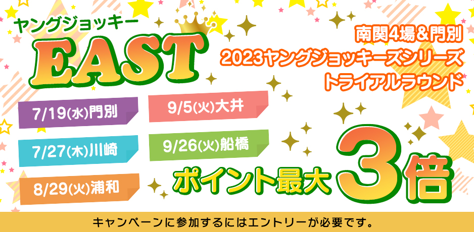 キャンペーン詳細|SPAT4プレミアムポイント 国産 打上げ花火 激笛(GEKITEKI)