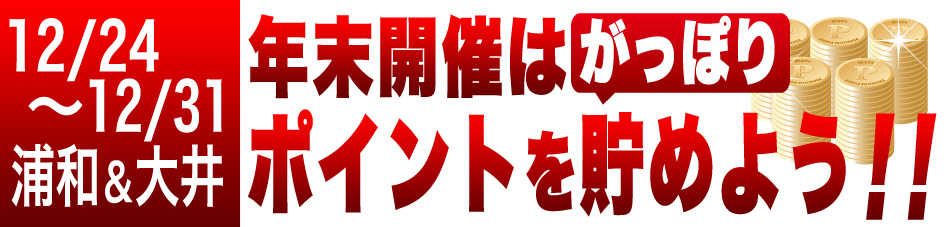 年末の南関開催でポイントをがっぽり貯めよう