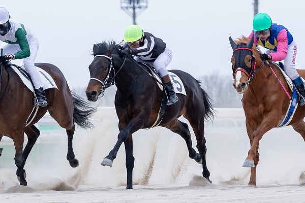 リュウノジェット