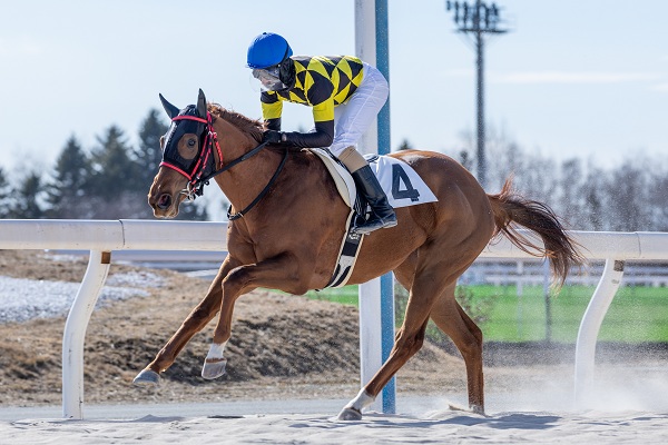 ショートフィルム