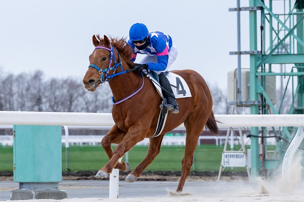 ソルデイスター