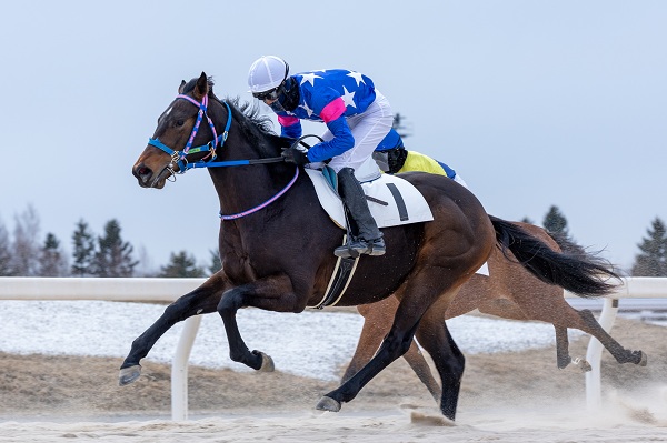 ショートフィルム