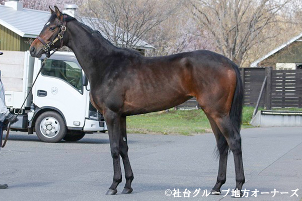 ヴィクトリアパス