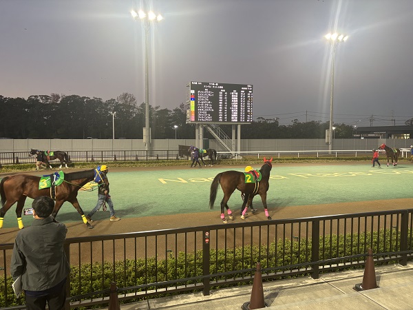 名古屋競馬場パドック