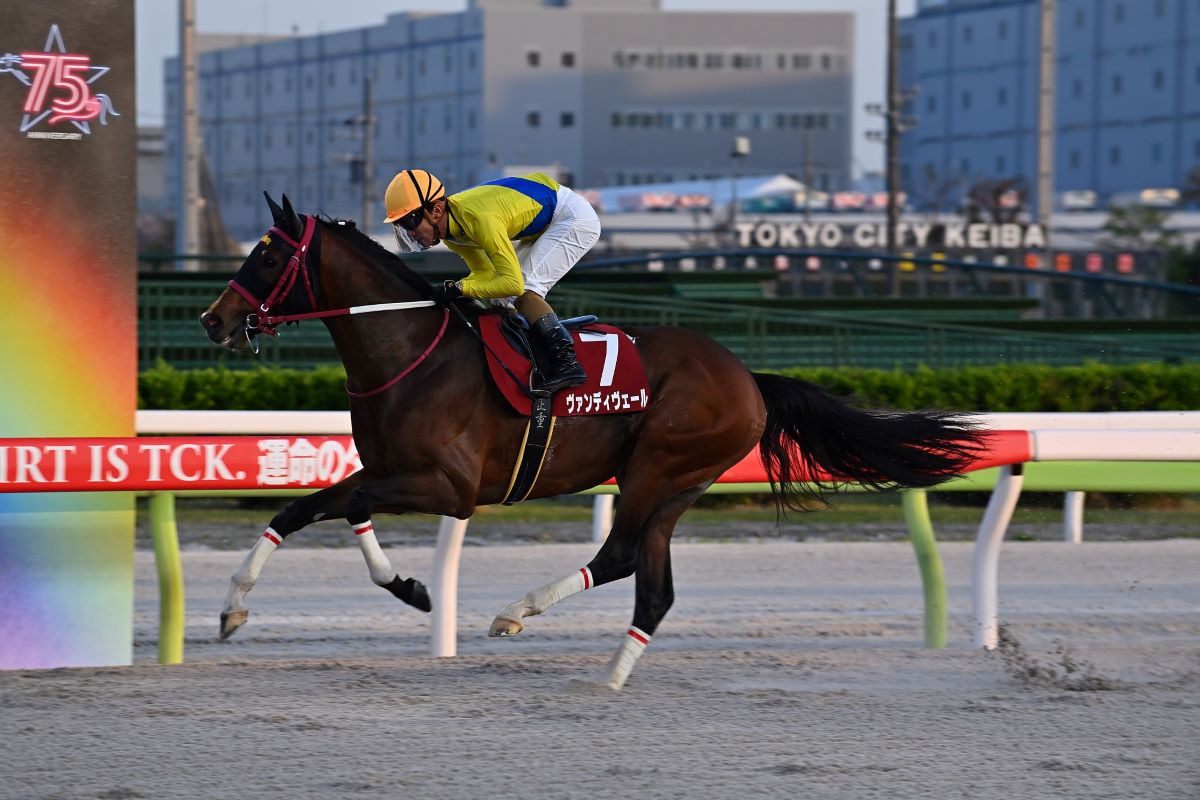 ゴール前(特別区競馬組合提供)
