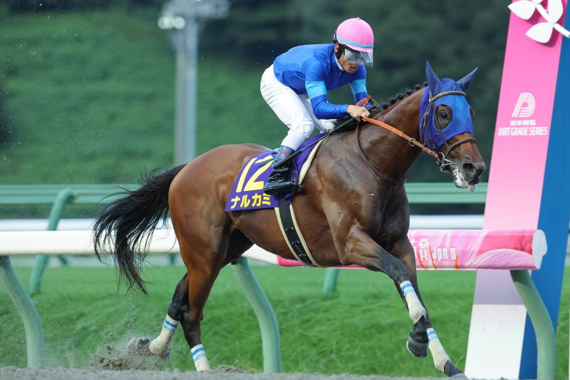 第57回不来方賞(JpnII)優勝馬ナルカミ号(岩手県競馬組合提供)