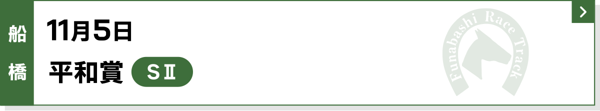 11月5日 平和賞 船橋 SII