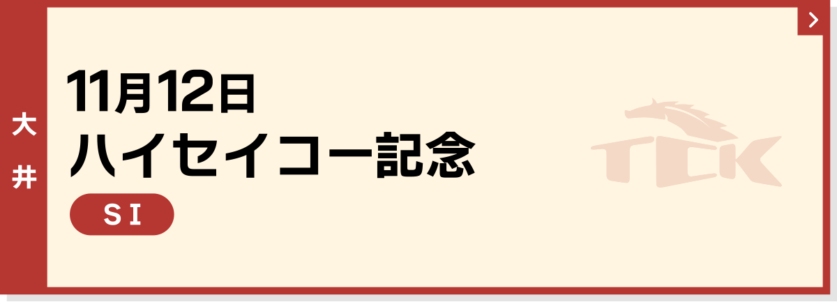 11月12日 ハイセイコー記念 大井 SI