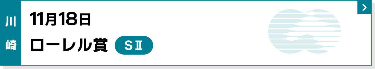 11月18日 ローレル賞 川崎 SII