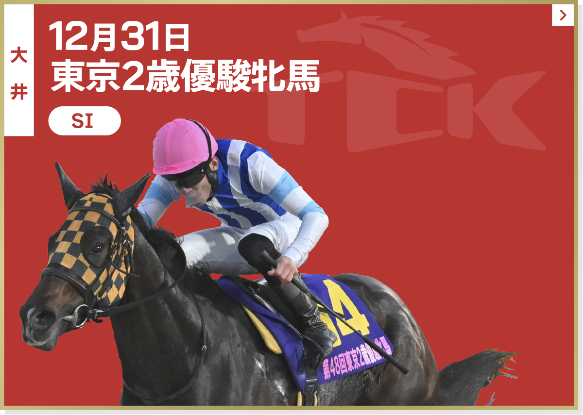12月31日 東京2歳優駿牝馬 大井 SI