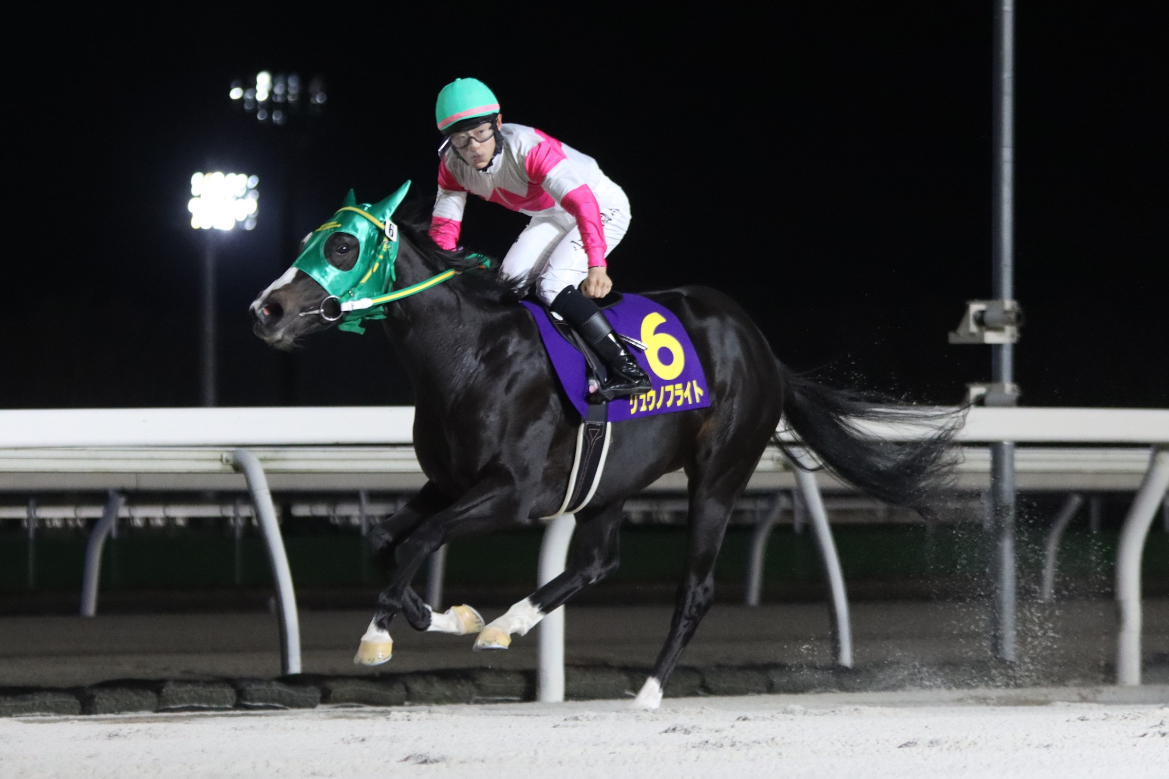 第28回エーデルワイス賞(JpnIII)優勝馬リュウノフライト号(がんばれ！ホッカイドウ競馬提供)