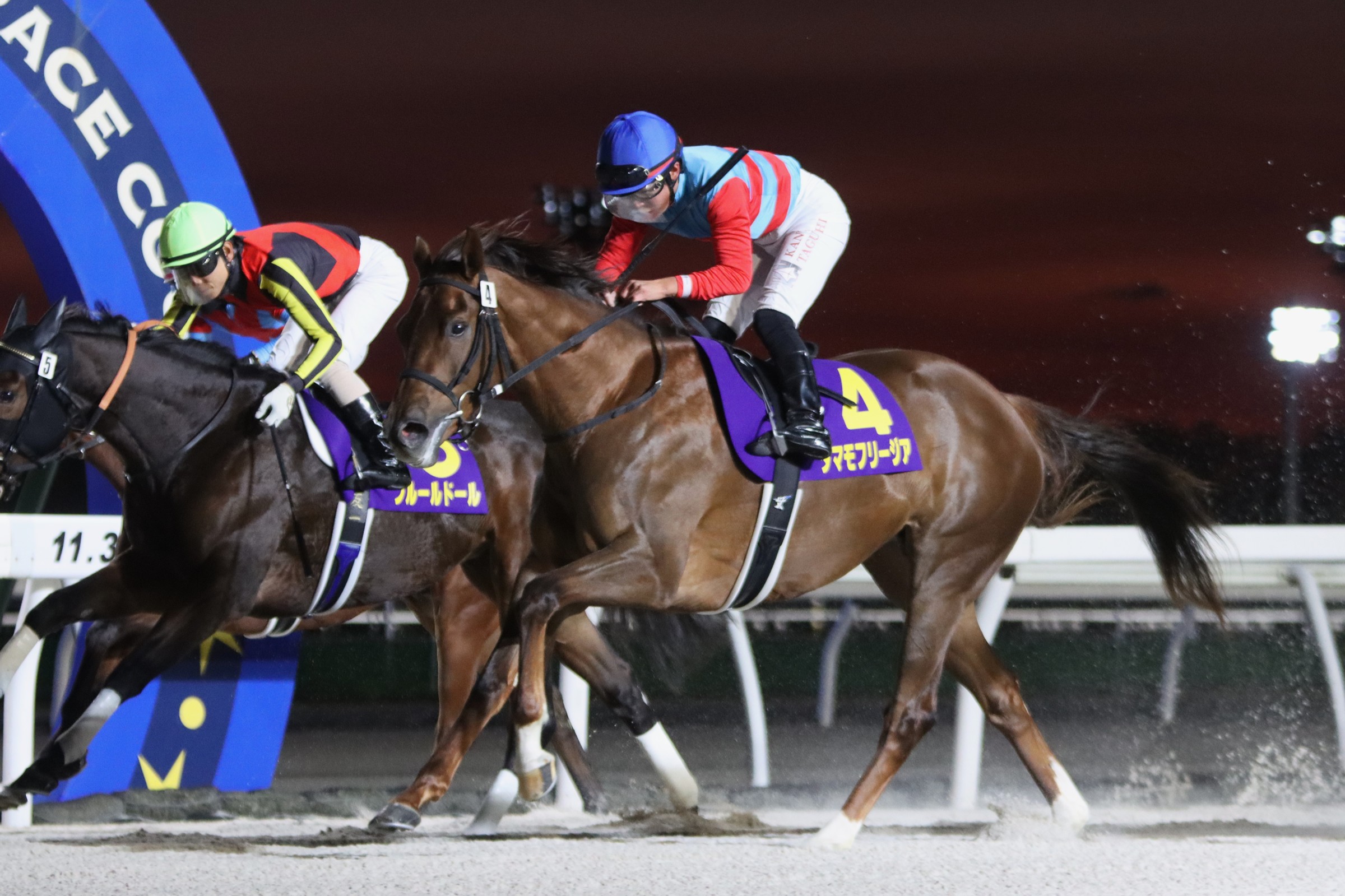 第6回JBC2歳優駿(JpnIII)優勝馬タマモフリージア号(がんばれ!ホッカイドウ競馬提供)