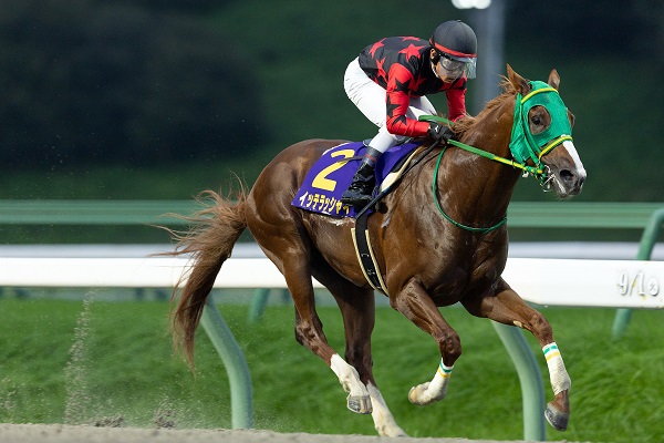 イッテラッシャイ(岩手県競馬組合提供)