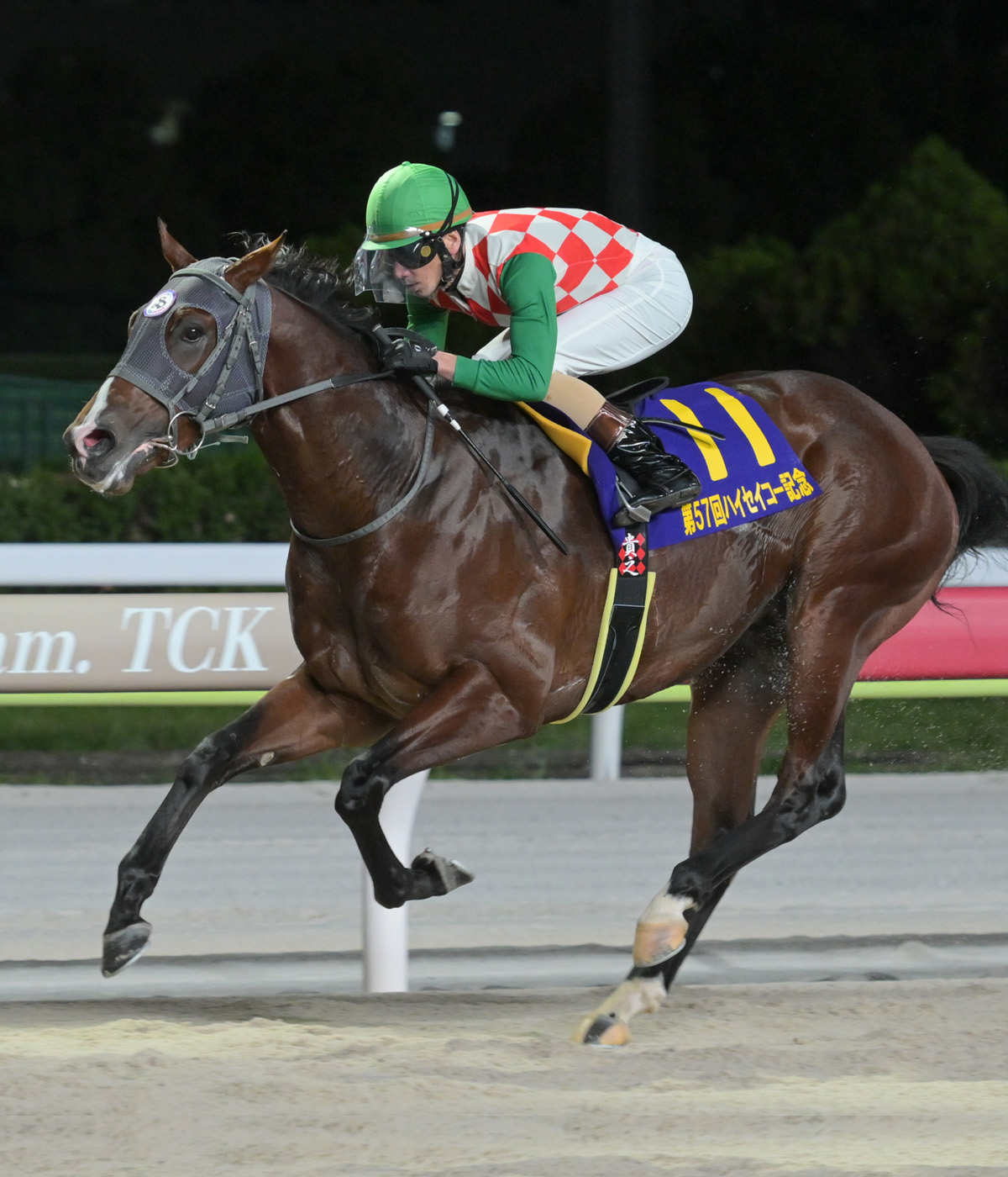 11月12日ハイセイコー記念