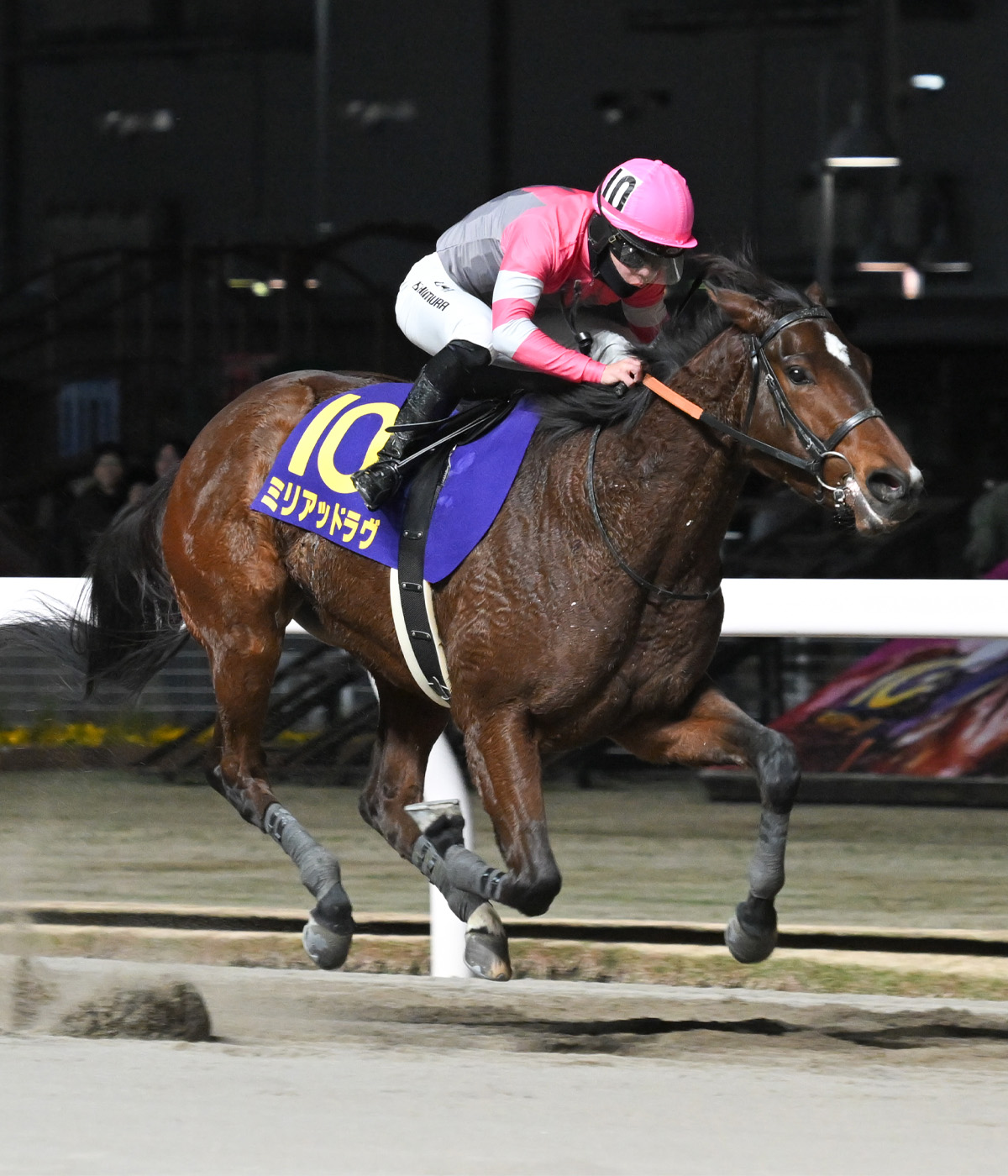 12月17日全日本2歳優駿