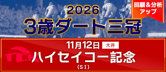 ハイセイコー記念レース後分析