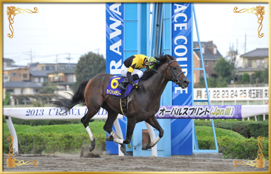 2013年優勝馬 セイントメモリー号