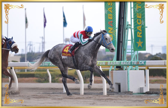 2013年優勝馬　アクティビューティ号