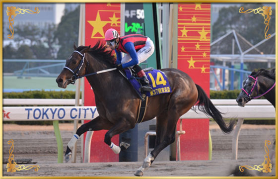 2014年優勝馬 ハッピースプリント号