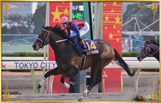 2014年優勝馬　ハッピースプリント号