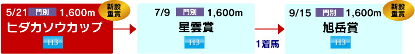 体系図 ~3歳以上マイル~