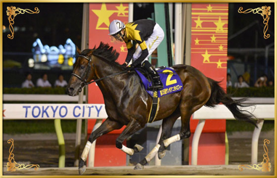 2014年優勝馬 セイントメモリー号