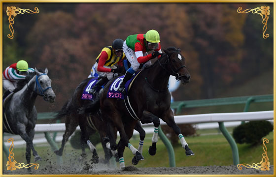 2014年優勝馬 サンビスタ号