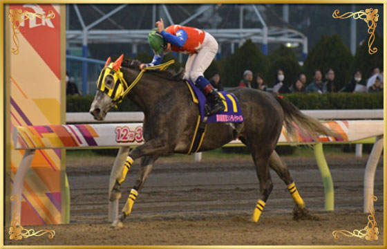 2014年優勝馬 ノットオーソリティ号