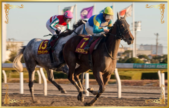 2014年優勝馬　トロワボヌール号