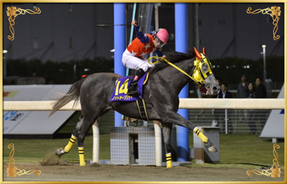 2014年優勝馬 ノットオーソリティ号