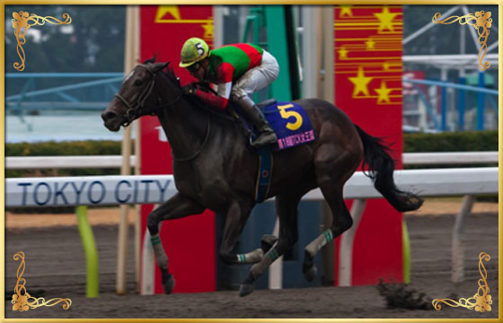 2015年優勝馬　サンビスタ号