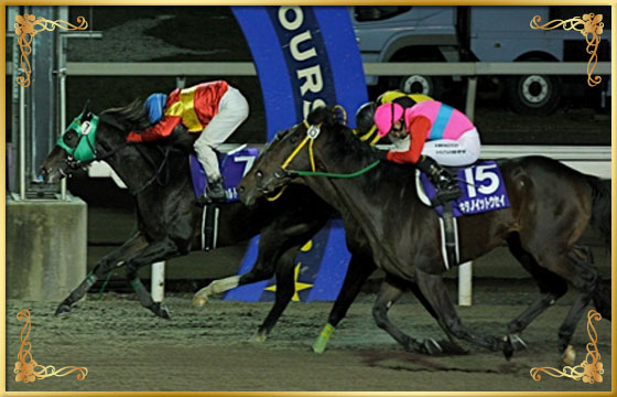 2014年優勝馬　ウルトラカイザー号