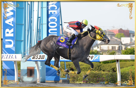 2015年優勝馬 ノットオーソリティ号