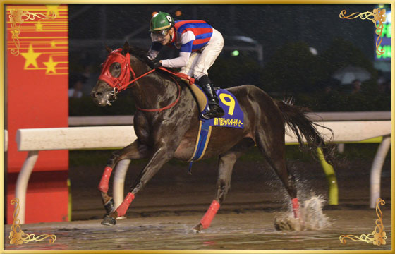 2015年優勝馬 ノンコノユメ号