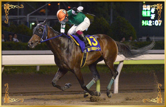 2015年優勝馬　ラッキープリンス号