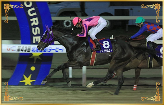 2015年優勝馬 フジノサムライ号