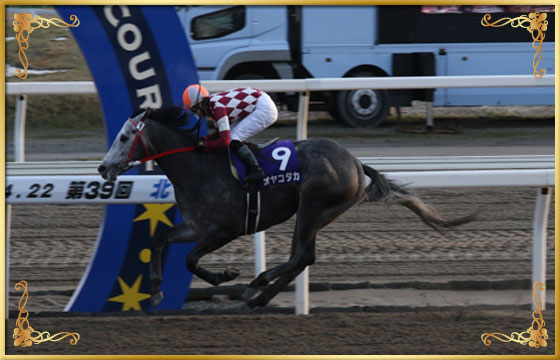 2015年優勝馬 オヤコダカ号