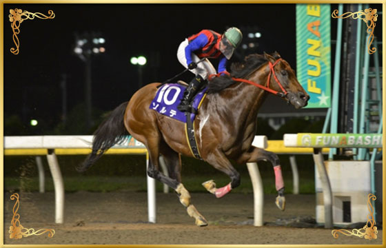 キャンペーン Spat4プレミアムポイン