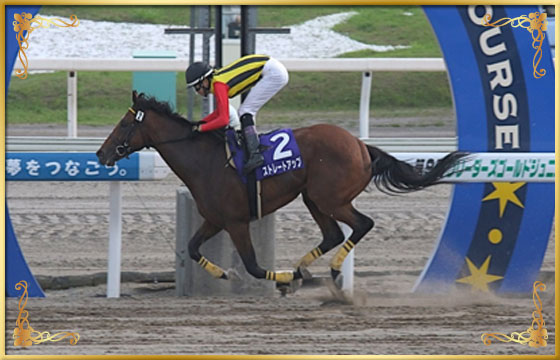 キャンペーン Spat4プレミアムポイン