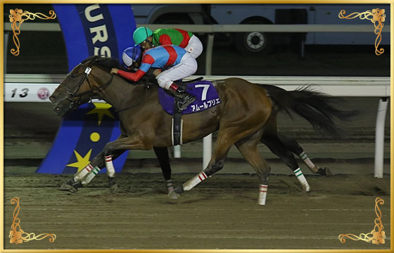 キャンペーン Spat4プレミアムポイン