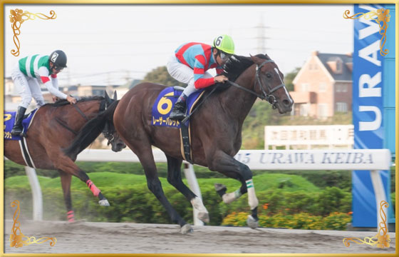 2015年優勝馬 レーザーバレット号