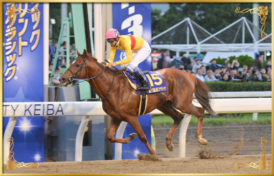 2015年優勝馬 コパノリッキー号
