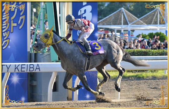 2015年優勝馬　ホワイトフーガ号