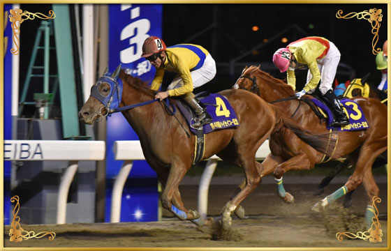 2015年優勝馬　トロヴァオ号