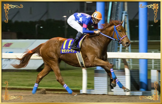 2015年優勝馬　モダンウーマン号