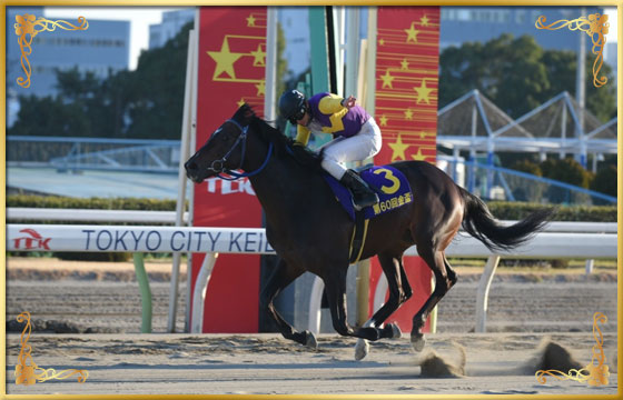 2016年優勝馬　ジャルディーノ号