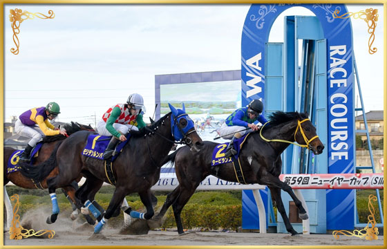 2016年優勝馬　モリデンルンバ号(外)