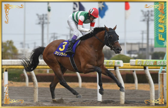 2016年優勝馬 クリソライト号